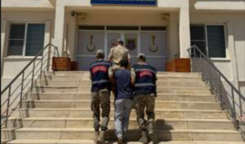 Mardin'de, "Hayvanların kısırlaştırılması" paylaşımına gözaltı
