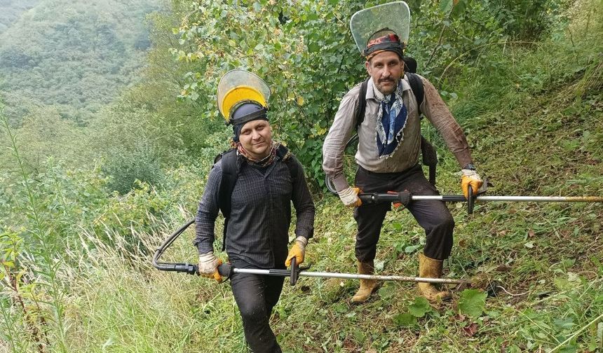 Fındık üreticileri için kötü haber!