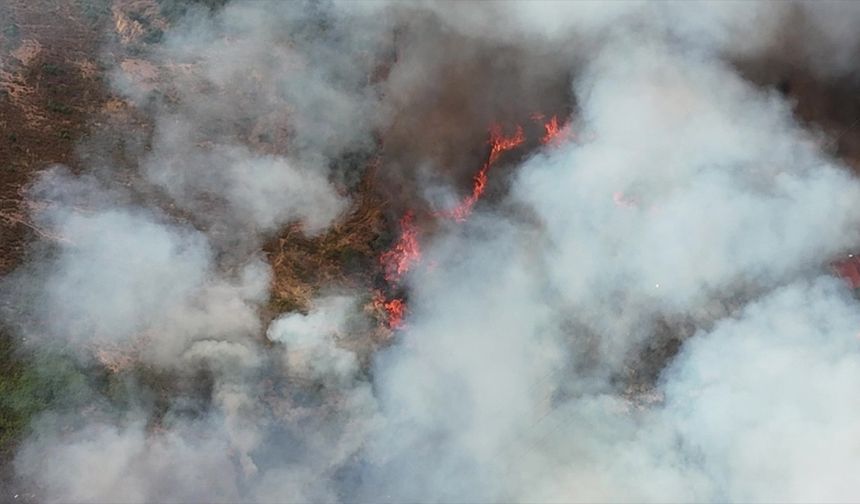 Kocaeli'de orman yangını evlere sıçradı