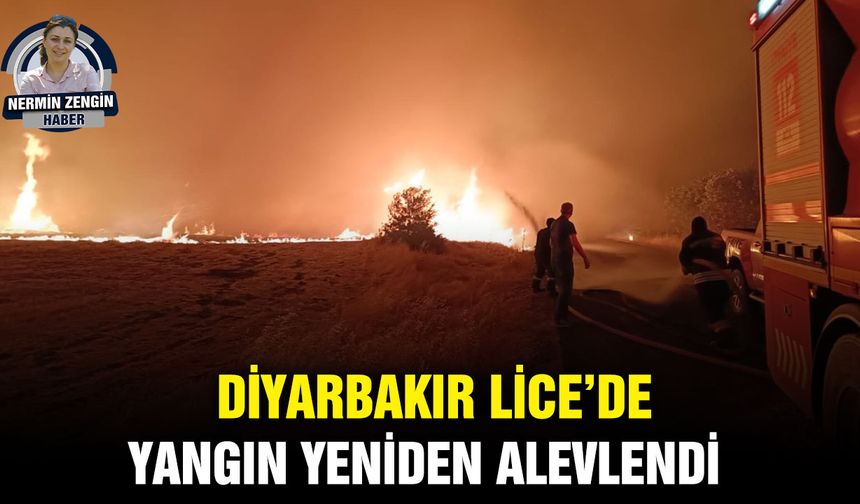 Diyarbakır Lice’de yangın yeniden alevlendi