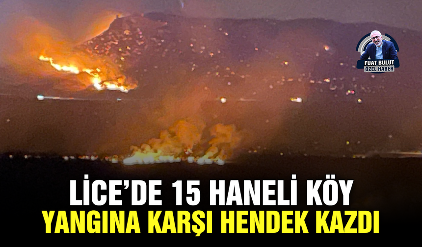Lice’de 15 haneli köy yangına karşı hendek kazdı
