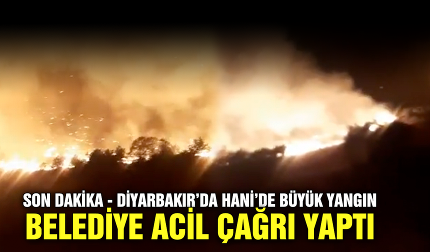 Son Dakika - Diyarbakır’da Hani’de büyük yangın, belediye acil çağrı yaptı