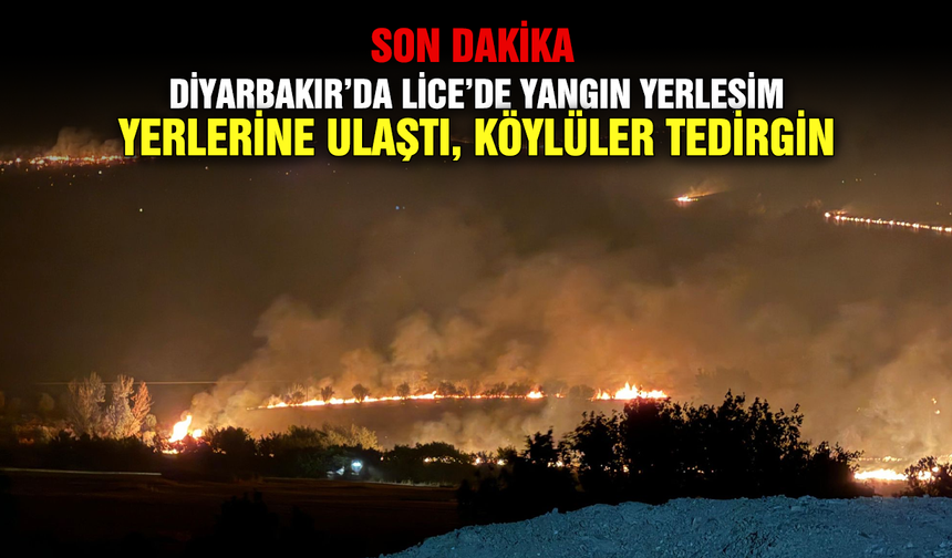 Son Dakika - Diyarbakır’da Lice’de yangın yerleşim yerlerine ulaştı, köylüler tedirgin