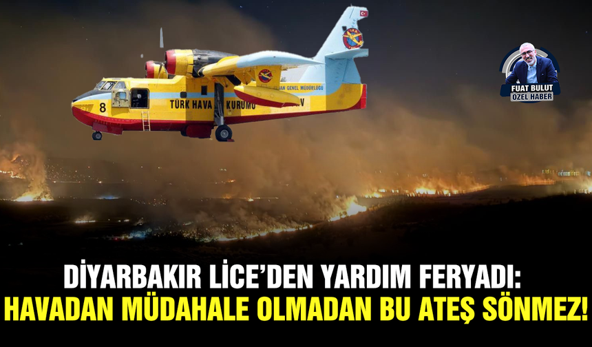 Diyarbakır Lice’den yardım feryadı: Havadan müdahale olmadan bu ateş sönmez!