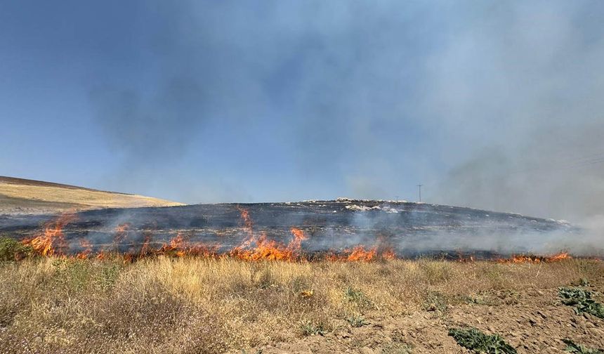 Van'da yüzlerce dönüm arazi kül oldu