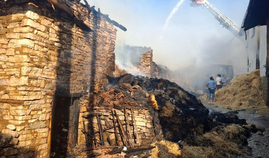 Köyde çıkan yangında 4 ev kül oldu