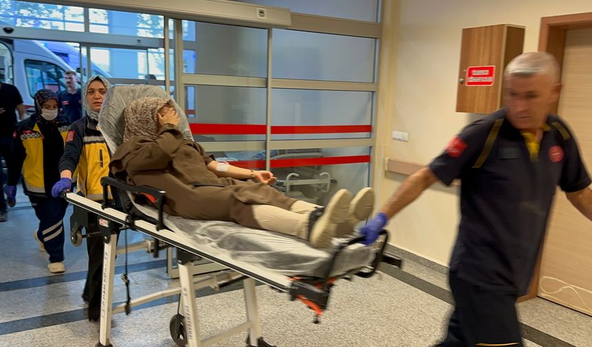 Yolcu minibüsü direğe çarptı, 8 yaralı