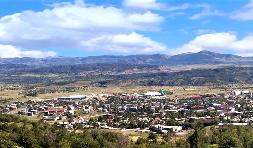 Diyarbakır Lice’de mahkeme kararıyla tarım arazisi satılığa çıkarıldı