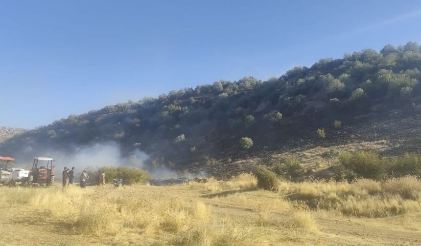Diyarbakır’da başlayan anız yangını ormanlık alana sıçradı