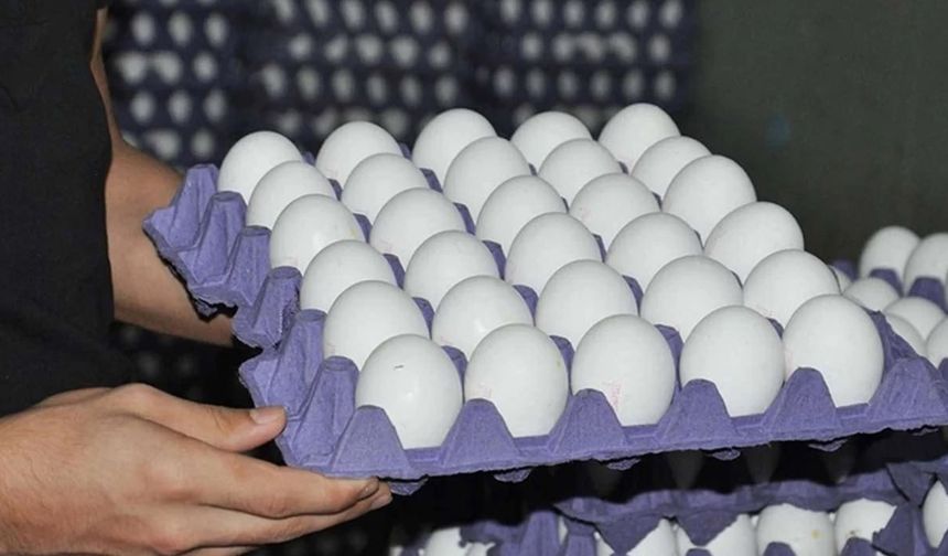 Haşlanmış yumurtanın kabuğunu soymanın en kolay yolu