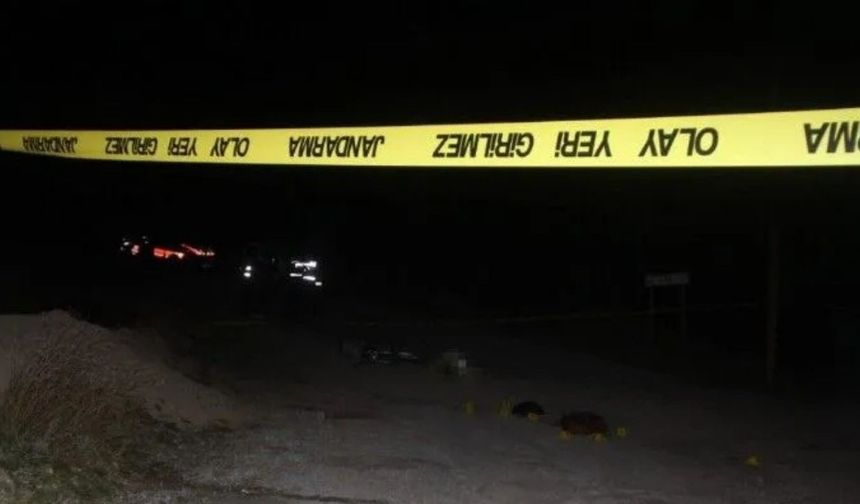 Van'da anne ve 2 oğluna silahlı saldırı