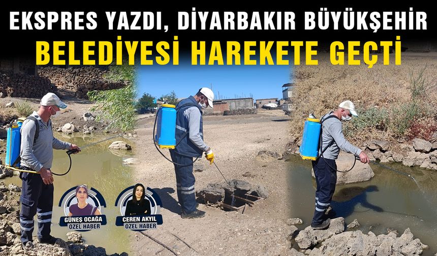 Ekspres yazdı, Diyarbakır Büyükşehir Belediyesi harekete geçti