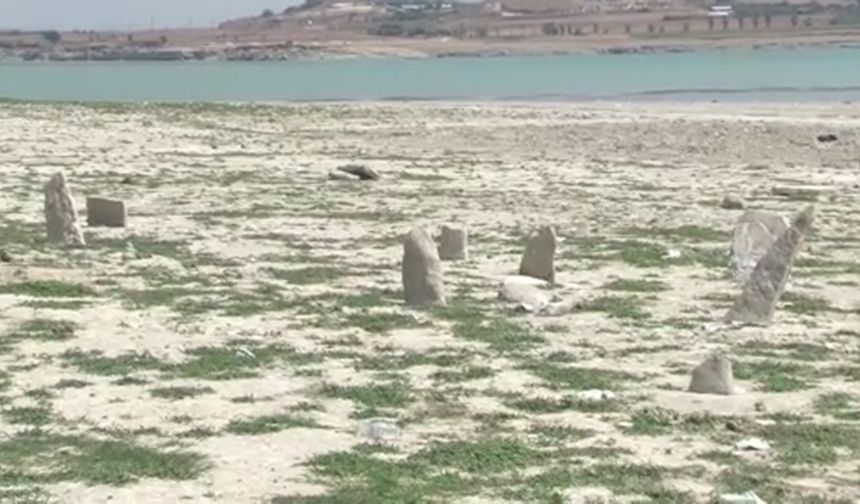 Kuraklığın acı manzarası, mezarlık ortaya çıktı