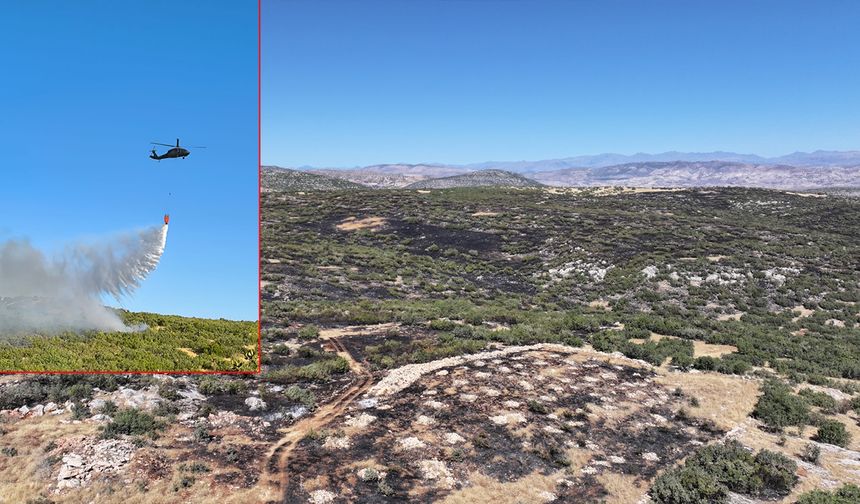 Diyarbakır kırsalındaki yangın kontrol altına alındı