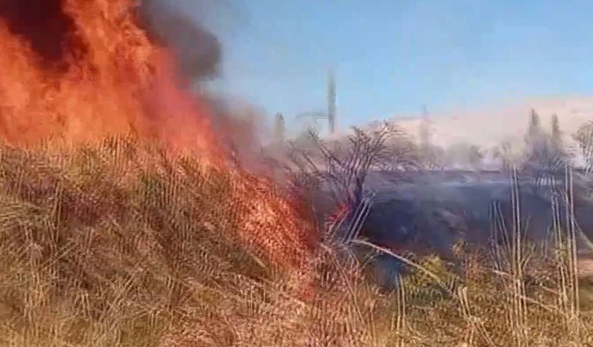 Diyarbakır’da yangın paniği, herkes seferber oldu