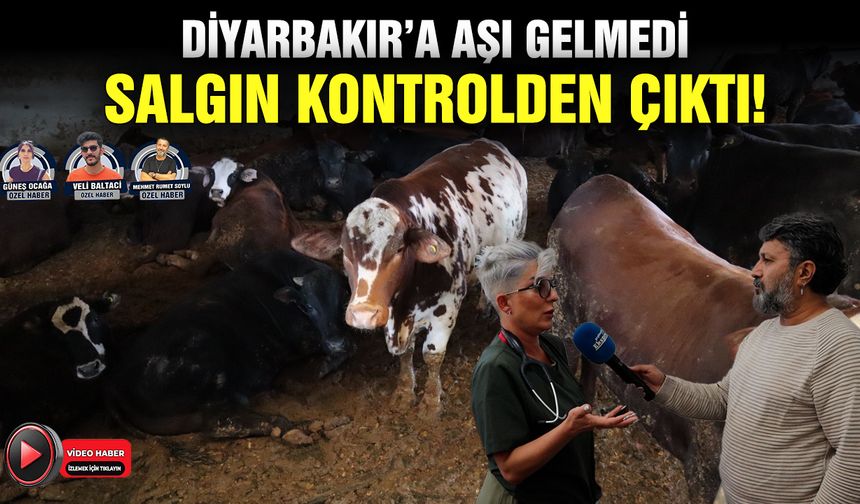 Diyarbakır’a aşı gelmedi, salgın kontrolden çıktı!