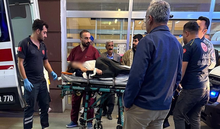 17 yaşındaki genç kız bıçağı karnına sapladı