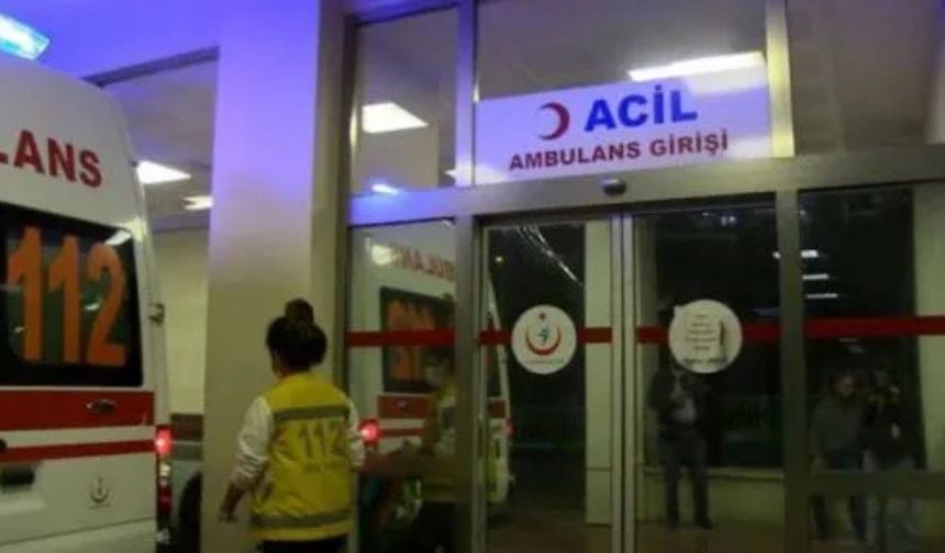 Çobanlar hayvan otlatma nedeniyle silahla çatıştı: 3 yaralı