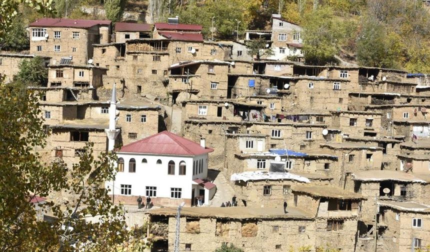 Bitlis ve Van arasında dikkat çeken bir köy!