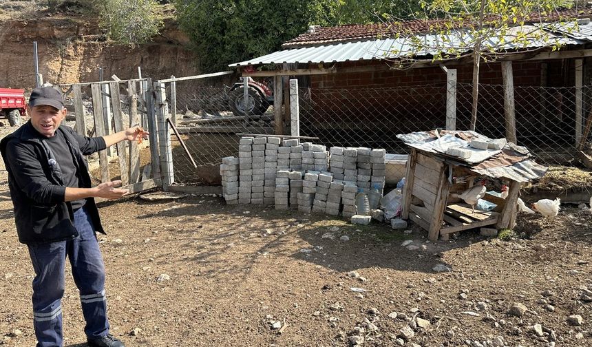 CİMER'e ‘İnek’ ve ‘tavuk’ başvurusu şaşırttı!