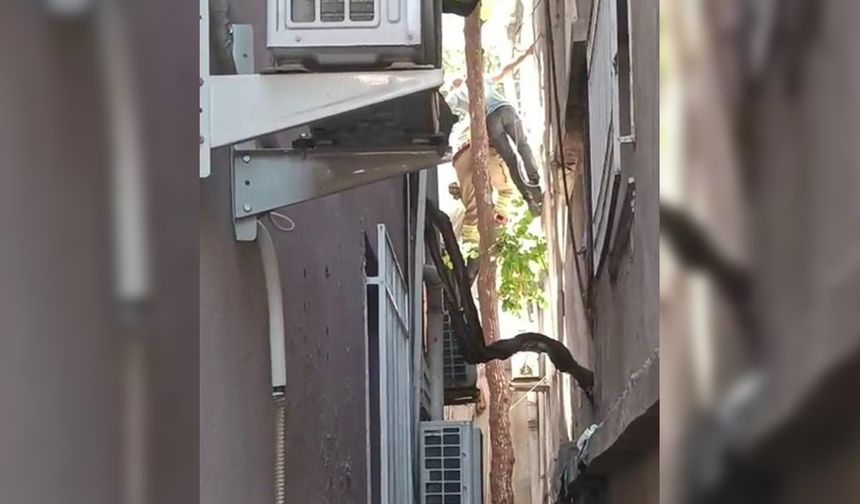 Dal kırılınca ağaçta asılı kaldı, itfaiye ekipleri kurtardı