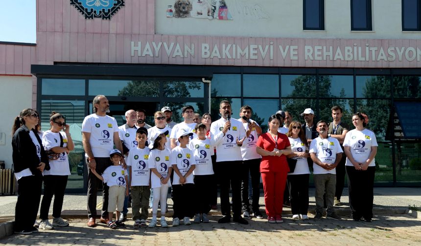 DBB Eş Başkanı Hatun: “Hayvanların yaşam hakkı insanlar kadar kutsaldır”