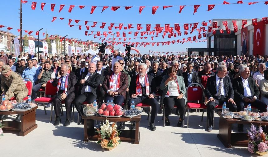 Diyarbakır'da "Kral Yolu Yürüyüşü, Bağ Bozumu ve Nar Festivali"