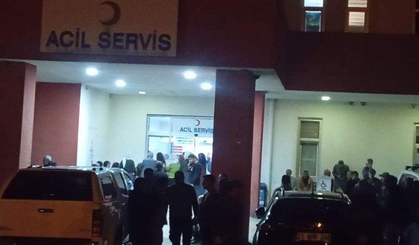 Diyarbakır’da eşeğin yularına takılıp sürüklenen çocuk hayatını kaybetti