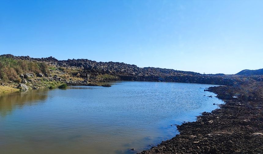 Diyarbakır’da çiftçi ve besicilere büyük müjde!