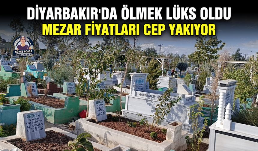 Diyarbakır'da ölmek lüks oldu: Mezar fiyatları cep yakıyor