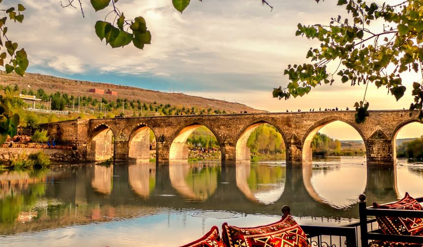 Diyarbakır’da yetişiyor, dünyada eşi yok: Bu mor hazine şifa saçıyor!