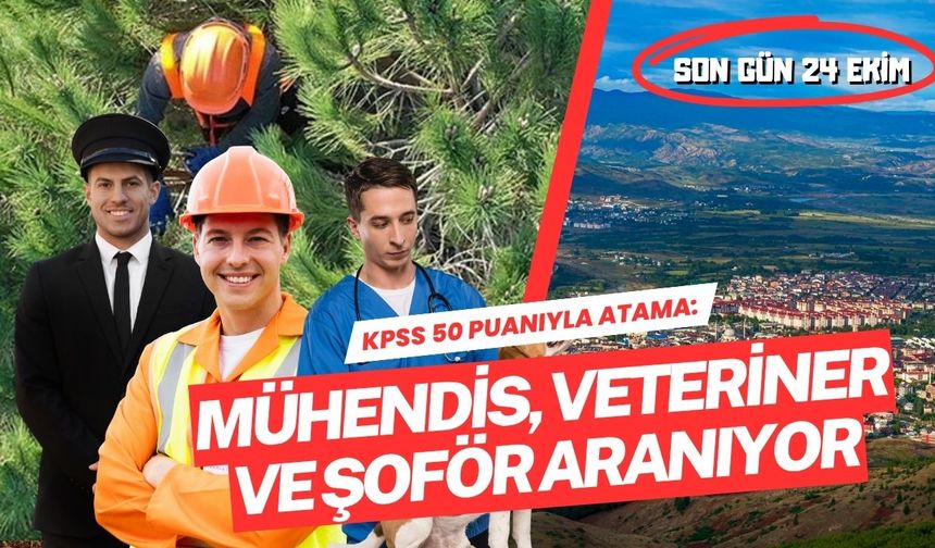 KPSS 50 Puanıyla Atama: Bingöl'de Mühendis, Veteriner ve Şoför Aranıyor