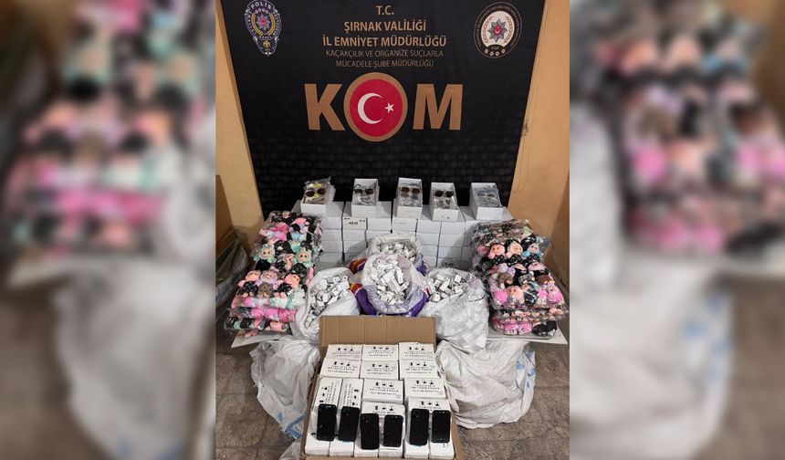 7 milyon liralık kaçakçılık operasyonu: 2 tutuklama