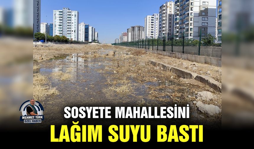 Sosyete mahallesini lağım suyu bastı