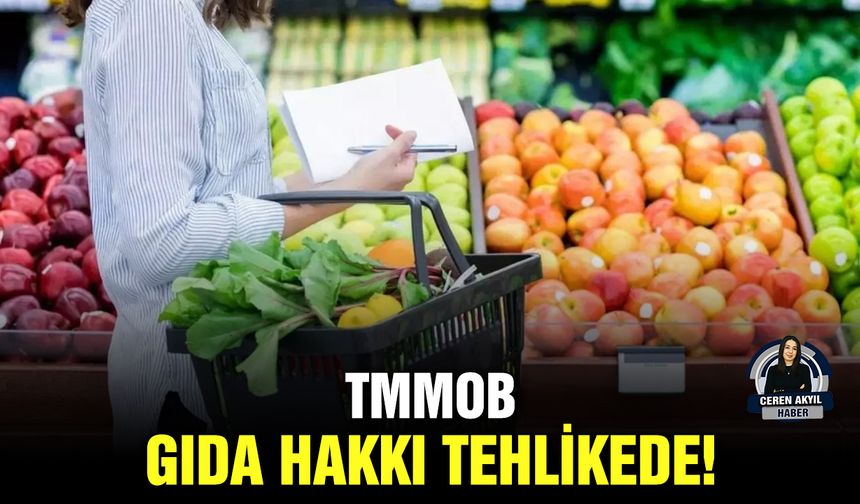 TMMOB: Gıda hakkı tehlikede!