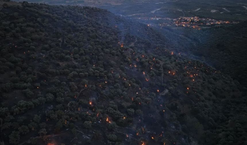 Aydın’daki yangın büyük ölçüde kontrol altına alındı