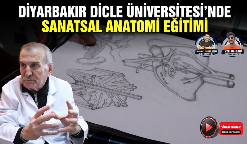 Diyarbakır Dicle Üniversitesi’nde sanatsal anatomi eğitimi