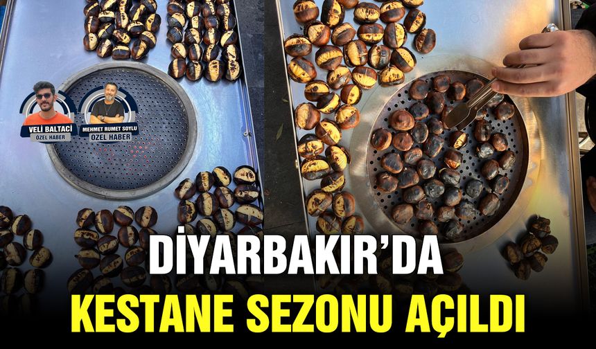 Diyarbakır’da kestane sezonu açıldı