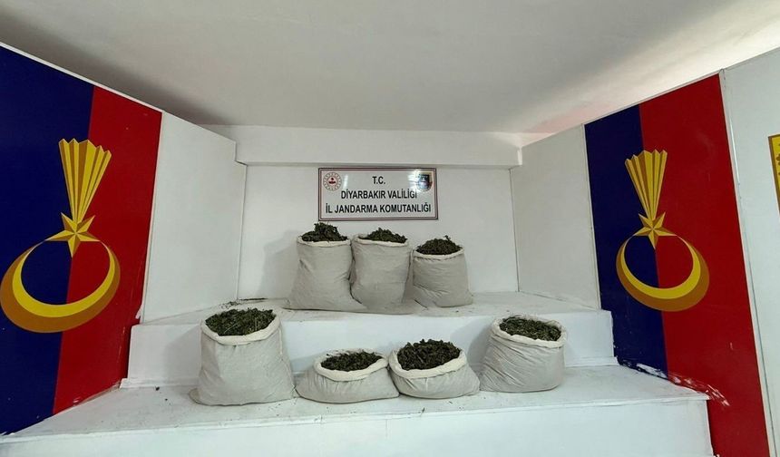 Diyarbakır'da zahir tacirlerine baskın