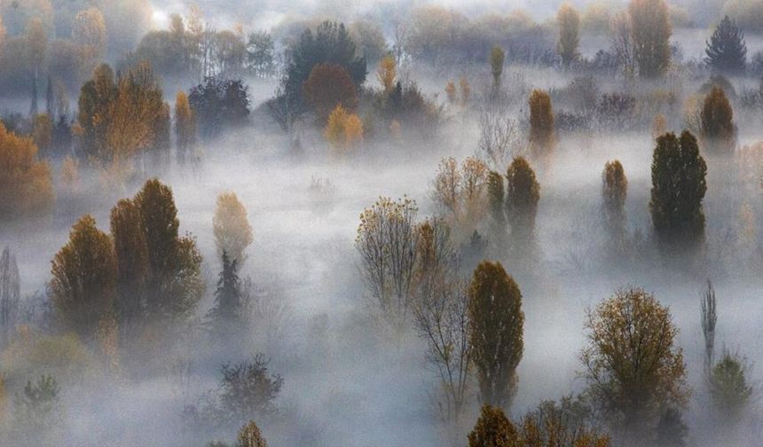 Diyarbakır’da Hevsel'in sisli bahçeleri kartpostallık görüntü oluşturdu