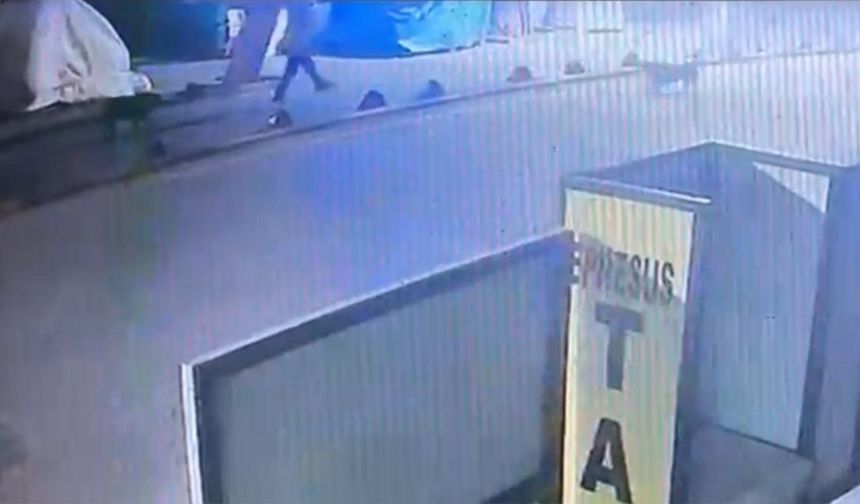 Kendisine saldıran sokak köpeğini silahla vuran kişi serbest bırakıldı