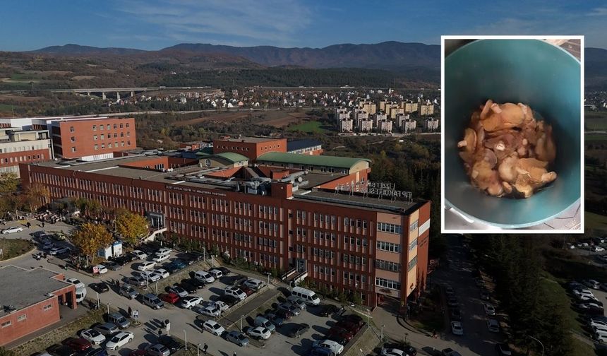 Topladığı mantarlarla zehirlenen kişi yoğun bakıma alındı