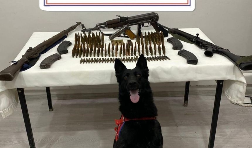 Mardin'de çok sayıda silah ve mühimmat ele geçirildi