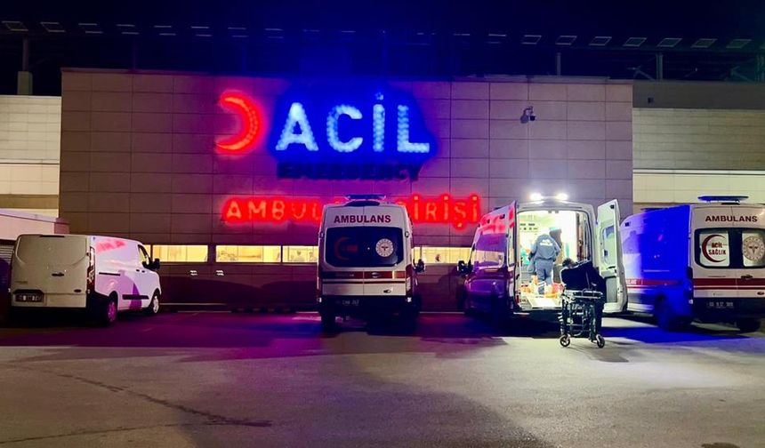 Pitbull dehşeti: Çocuğun yüzü paramparça oldu
