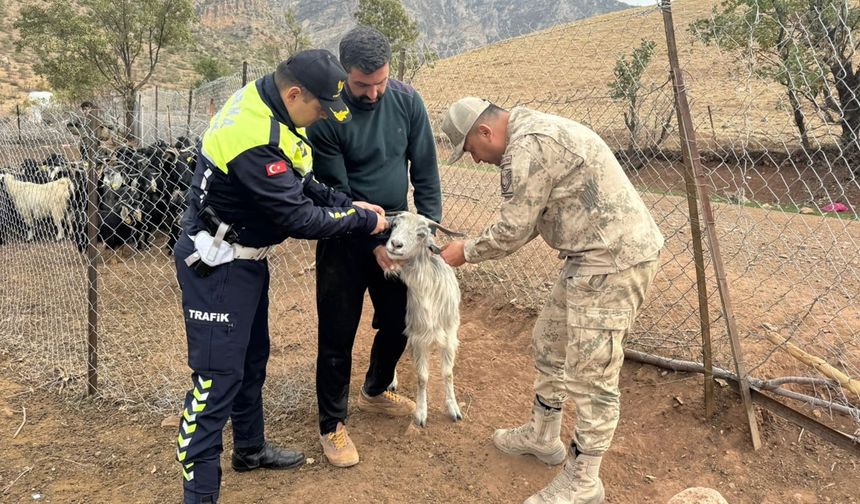 Siirt'te ilk kez uygulandı