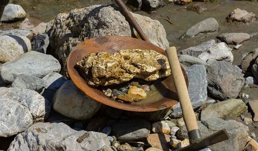 Sivas'ta 424 bin ons altın keşfedildi