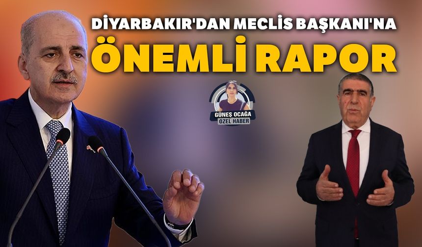 Diyarbakır'dan Meclis Başkanı'na önemli rapor