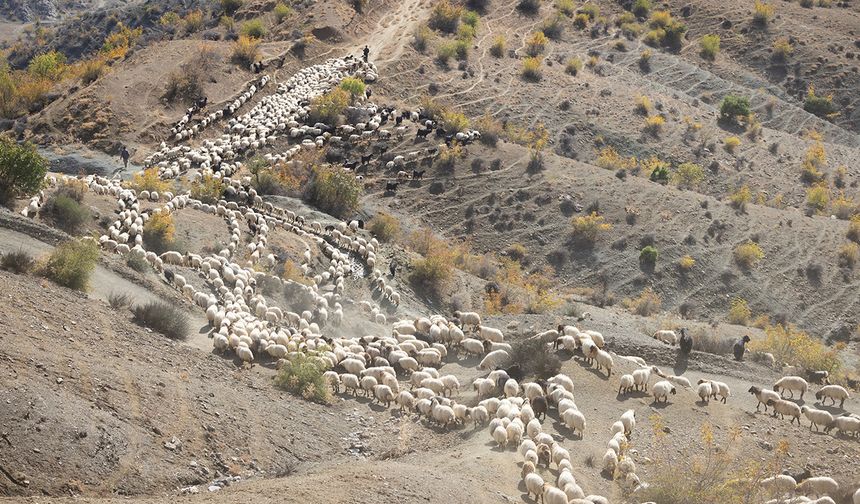 Yayla zamanı bitti göçerler dönüş yolunda