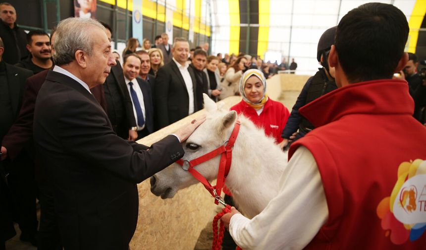 Diyarbakır'a Atçılık ve Hippoterapi merkezi