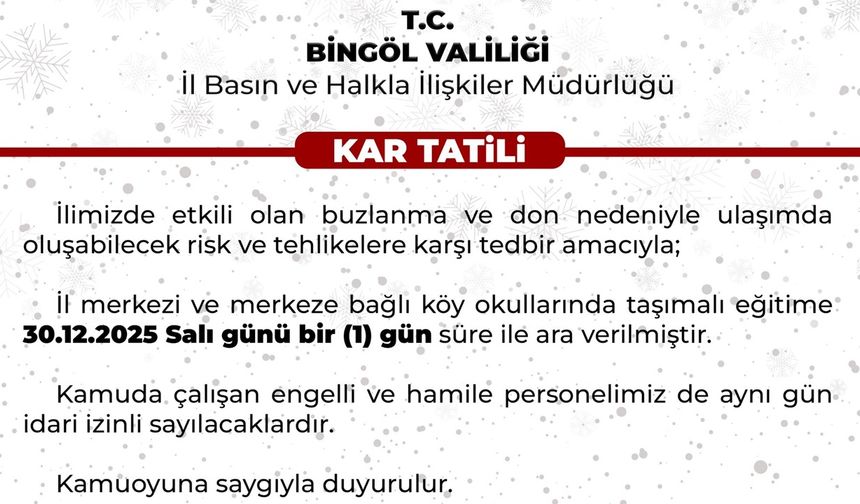 Bingöl'de kar tatili